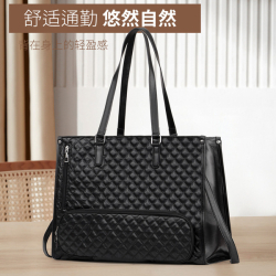 Premium Insulated Lunch Tote Bag